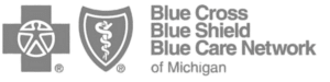 Blue Care Network of Michigan logo grey